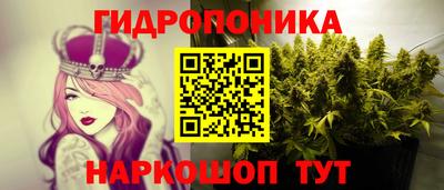 spice Пенза