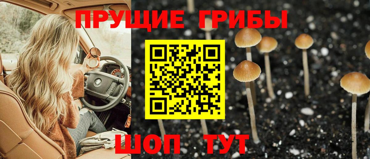 Псилоцибиновые грибы ЛСД Реутов