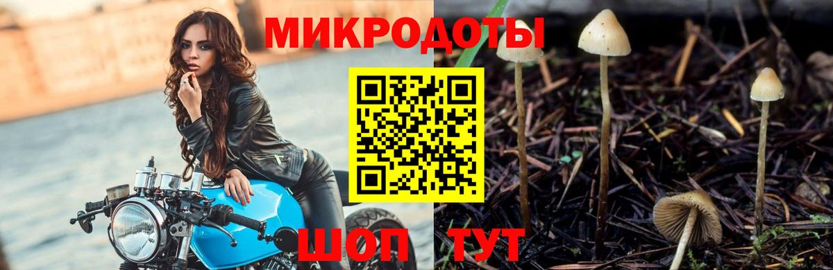 Реутов  Псилоцибиновые грибы мухоморы  Вход с VPN 